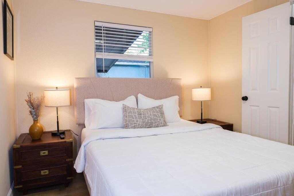 Villa House Near Tampa Zoo And Busch Gardens, Free High Speed Wifi Exterior foto